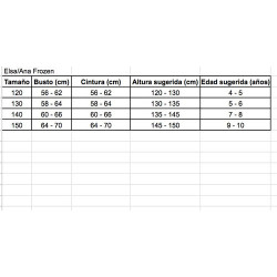 Disfraz Ana Princesas Frozen 2 - Universo Surprise