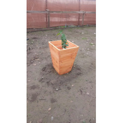 Macetero De Madera Protector De Árbol 45 Cm.