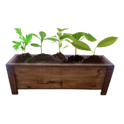 Jardinera De Madera 105 Cm Rectangular 1 Unidad