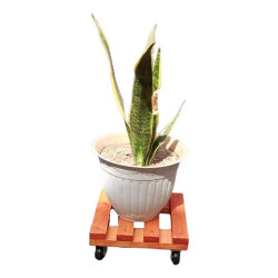 Base Para Maceteros 30 Cm