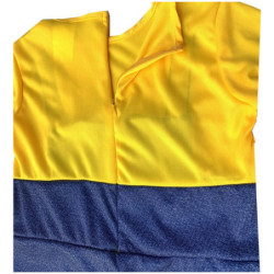 Disfraz Minions Para Niño Y Niña Mi Villano Favorito