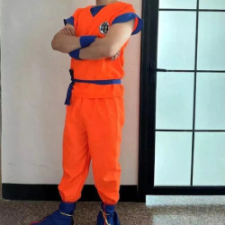 Disfraz Goku Dragon Ball Z Para Niños + Accesorios Y Cola