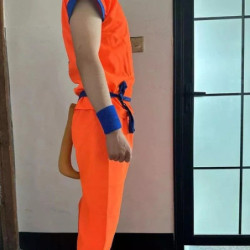 Disfraz Goku Dragon Ball Z Para Niños + Accesorios Y Cola