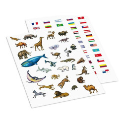 Globo Terráqueo Para Pintar 28 Cm. Globedu003